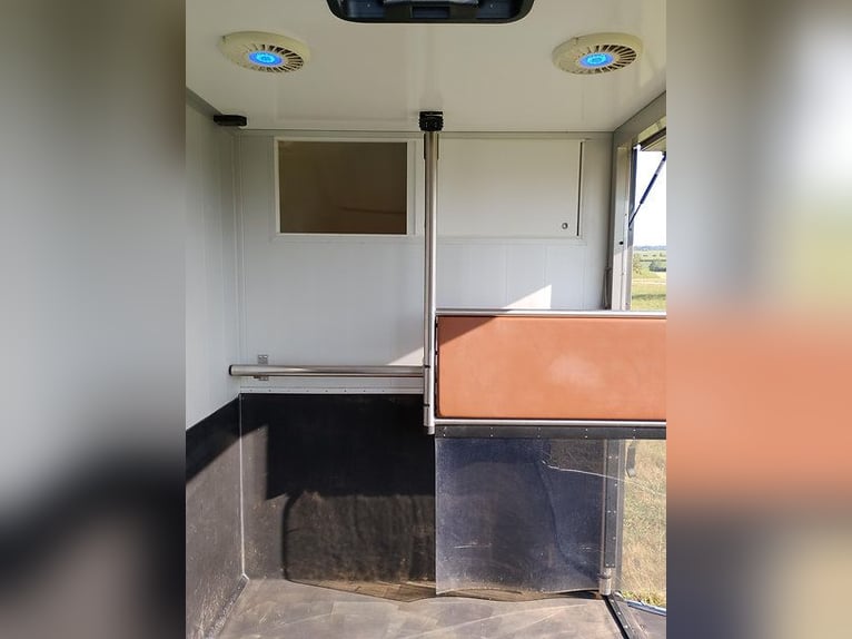 Pferdetransporter Roelofsen Automatik Nur 30.800KM Viehtransporter Selbstfahrer Horsevan