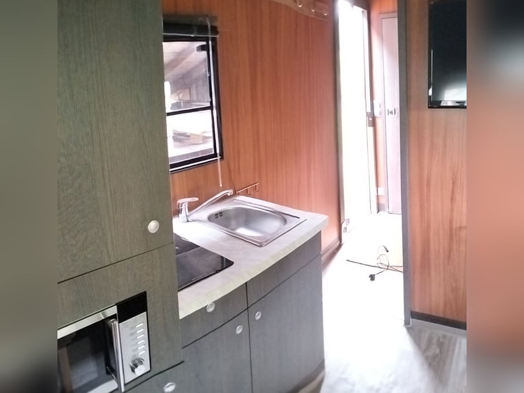 Pferdetransporter/. Wohnmobil