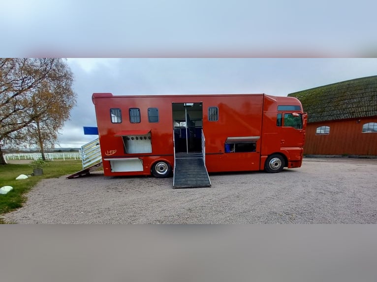 Pferdetransporter Wohnmobil MAN TGA 380PS 6 Pferde lkw Horsetruck Horsecamion Paardenvrachtwagen