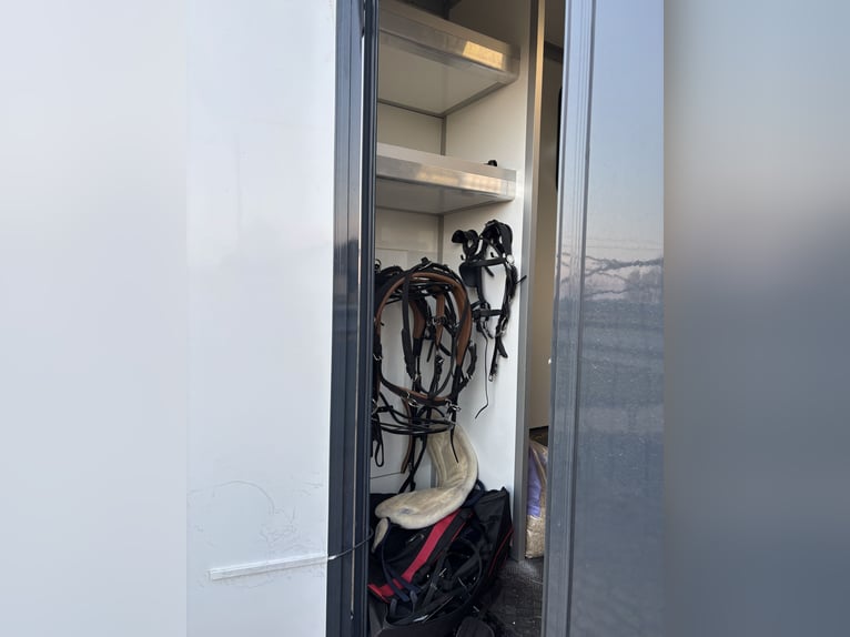 Pferdewagen Renault Master Automatik