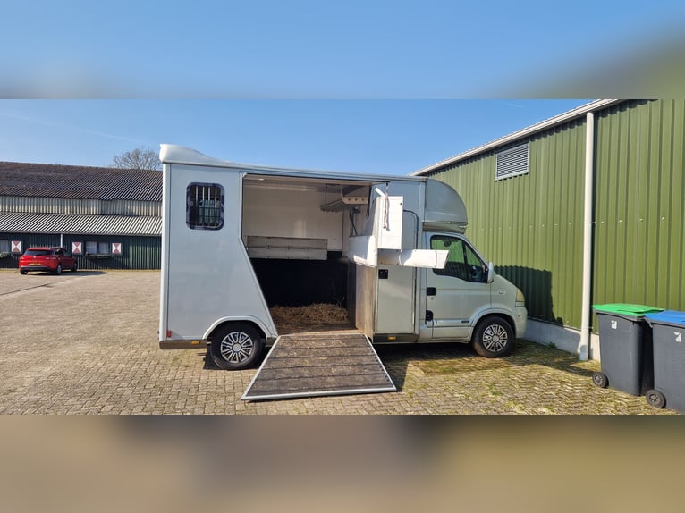 Pferdewagen zu verkaufen