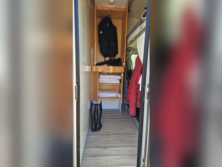 Pferdewagen zu verkaufen