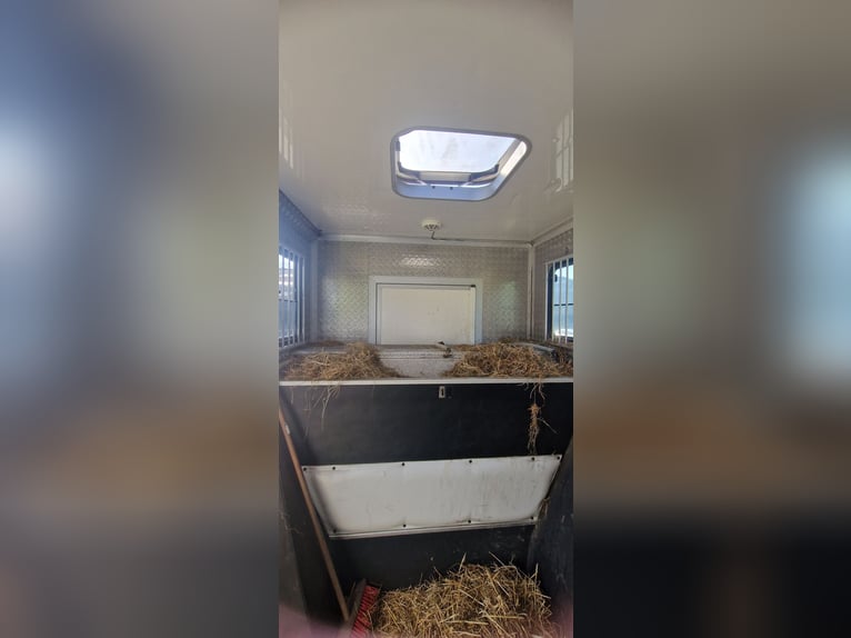 Pferdewagen zu verkaufen