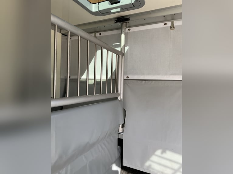 Renault Master mit MSG-Stablehopper-Multifunktionsaufbau, Automatik, 3,5to