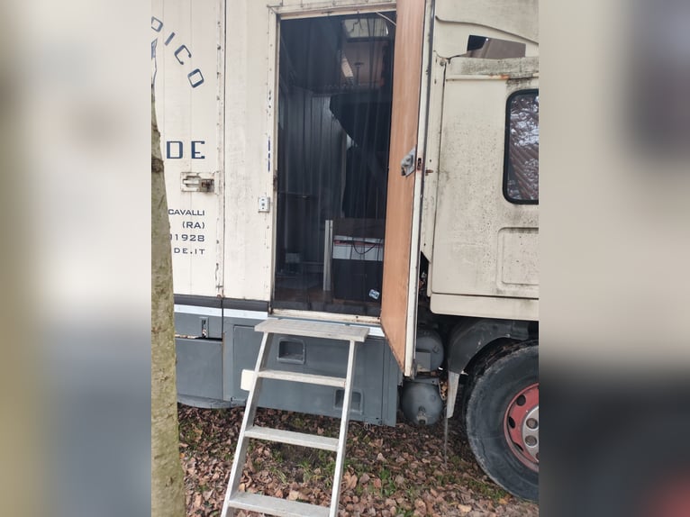 Transportvan für 8 Pferde mit kleinem Wohnbereich