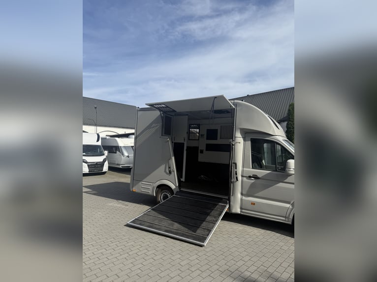 Volkswagen Crafter 4x4 (4Motion) 2023 Neuer Pferdeanhänger für Hengst