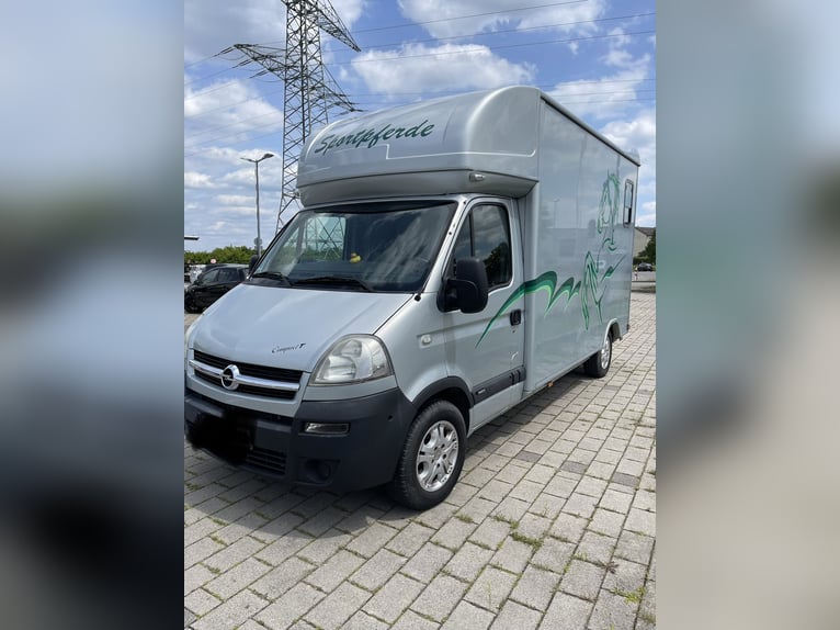 Böckmann Pferdetransporter