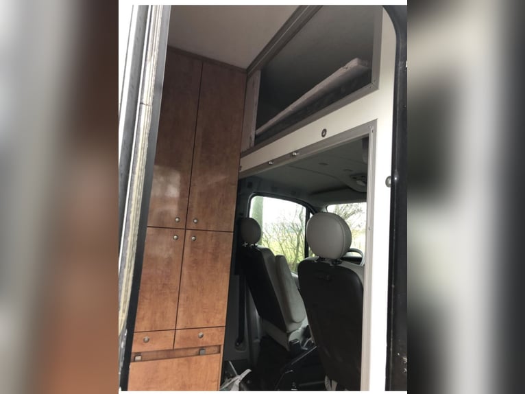 Böckmann Pferdetransporter