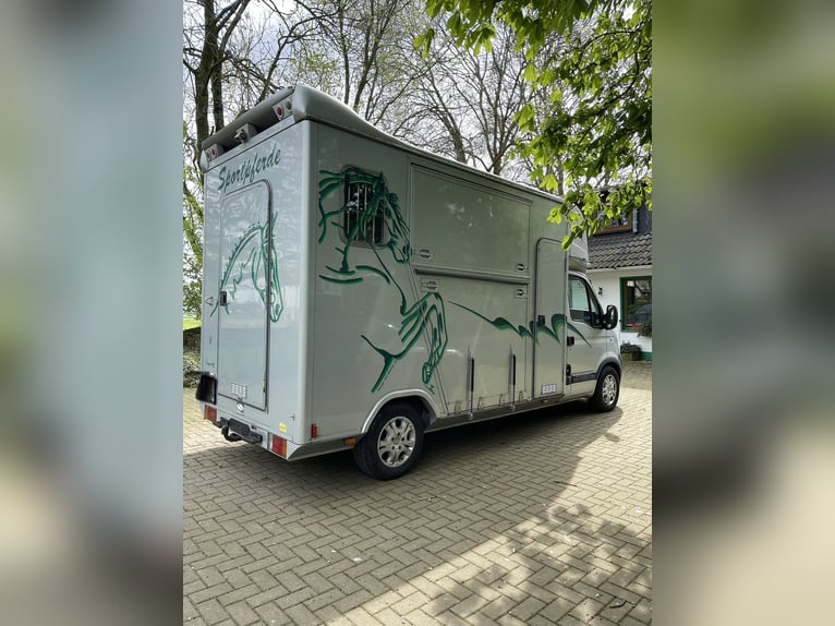 Böckmann Pferdetransporter
