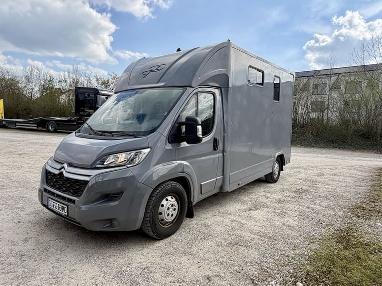 Citroen Jumper 2-Pferdetransporter Gebrauchtfahrzeug 3-Sitzer