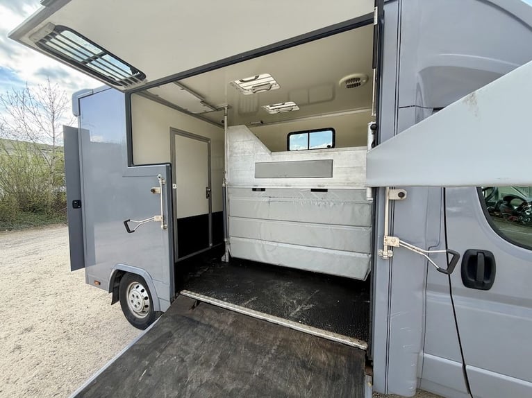 Citroen Jumper 2-Pferdetransporter Gebrauchtfahrzeug 3-Sitzer