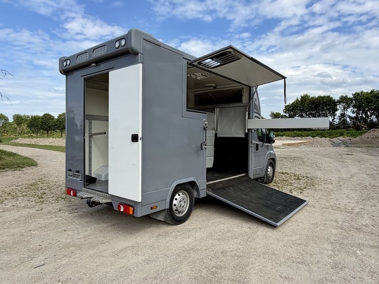 Citroen Jumper 2-Pferdetransporter Gebrauchtfahrzeug 3-Sitzer
