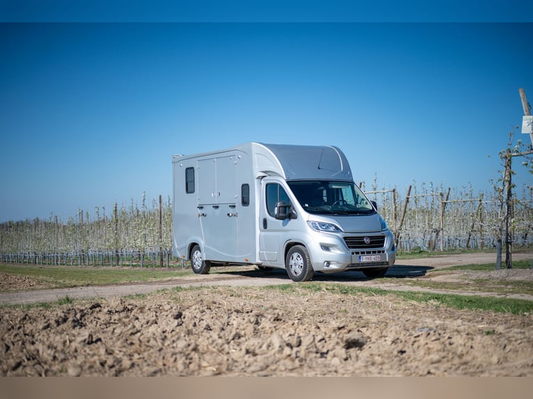 FIAT - DUCATO (2020)