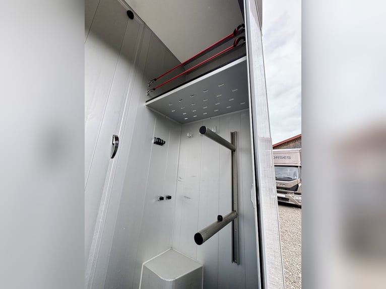FIAT Ducato Böckmann Compact 2-Pferdetransporter LKW Sprinter Neuwertig TOP Zustand