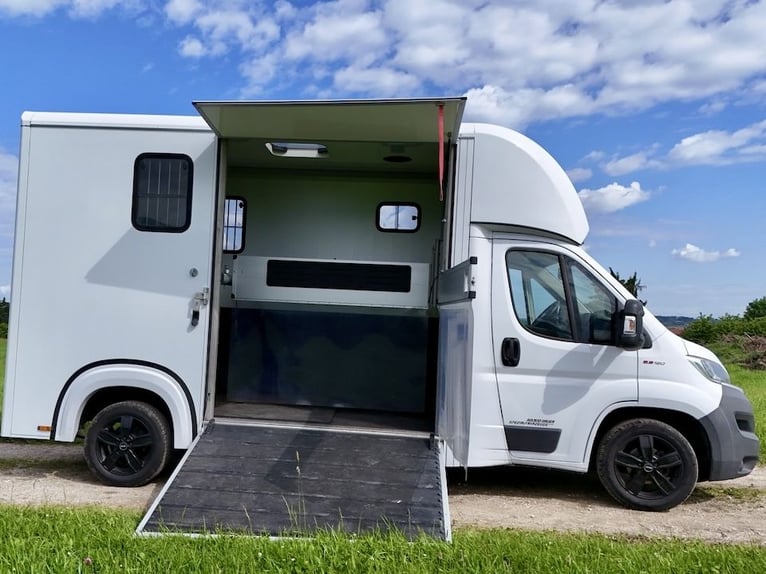FIAT Ducato Böckmann Compact 2-Pferdetransporter LKW Sprinter Neuwertig TOP Zustand