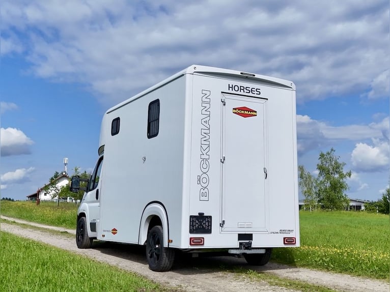 FIAT Ducato Böckmann Compact 2-Pferdetransporter LKW Sprinter Neuwertig TOP Zustand