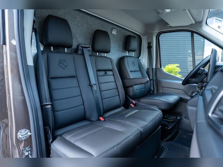 Ford Roelofsen Parados Sport 2-Pferdetransporter Deluxe Edition - Automatik - Sofort verfügbar!