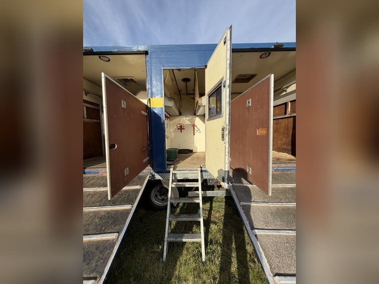 *Gelegenheit* Pferdetransporter MAN bis 7,5t für 4 Pferde
