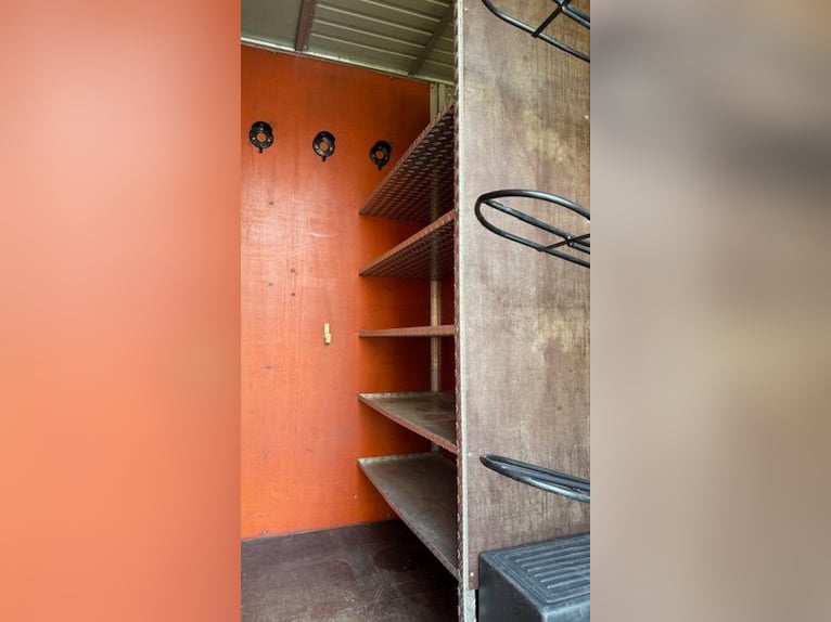 Mercedes 814 Transporter -6 Pferde- Oldtimer TÜV 2026 7,5t