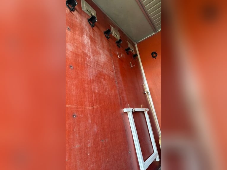 Mercedes 814 Transporter -6 Pferde- Oldtimer TÜV 2026 7,5t