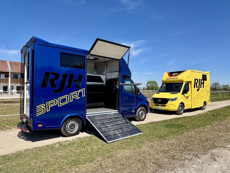 Mercedes-Benz 419 Sprinter 2-PFERDETRANSPORTER RJH SPORT 3,5t LKW - letztes verfügbares Modell