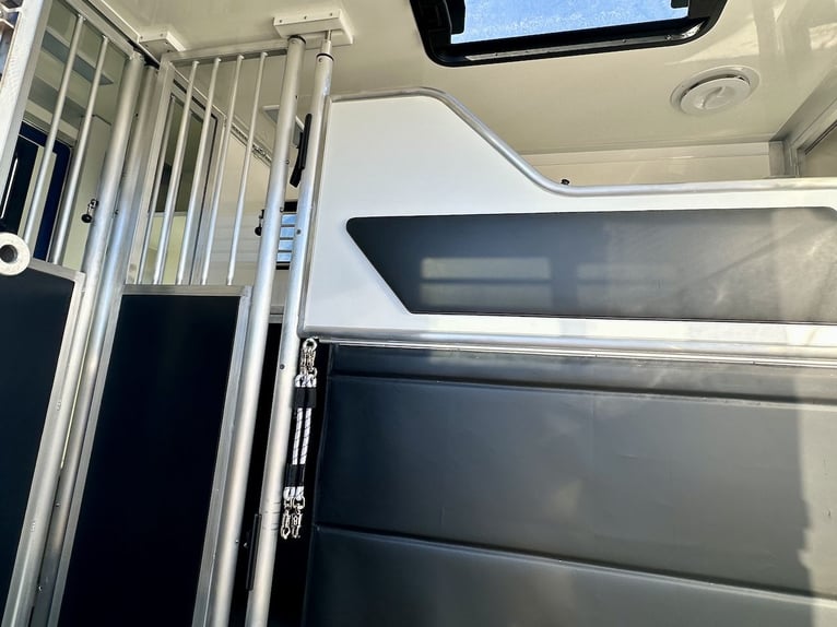 Mercedes-Benz 419 Sprinter 2-PFERDETRANSPORTER RJH SPORT 3,5t LKW - letztes verfügbares Modell