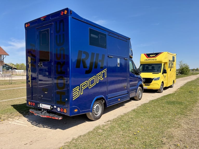 Mercedes-Benz 419 Sprinter 2-PFERDETRANSPORTER RJH SPORT 3,5t LKW - letztes verfügbares Modell