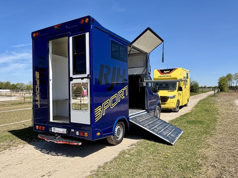 Mercedes-Benz 419 Sprinter 2-PFERDETRANSPORTER RJH SPORT 3,5t LKW - letztes verfügbares Modell