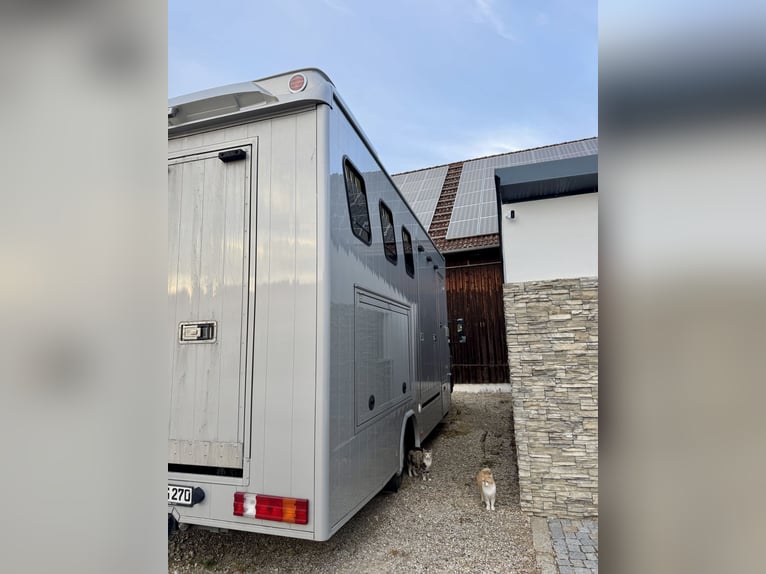 Mercedes-Benz 817 Pferdetransporter – 4-Pferde – mit Wohnabteil