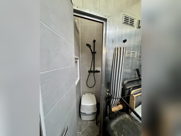 Mercedes-Benz 817 Pferdetransporter – 4-Pferde – mit Wohnabteil