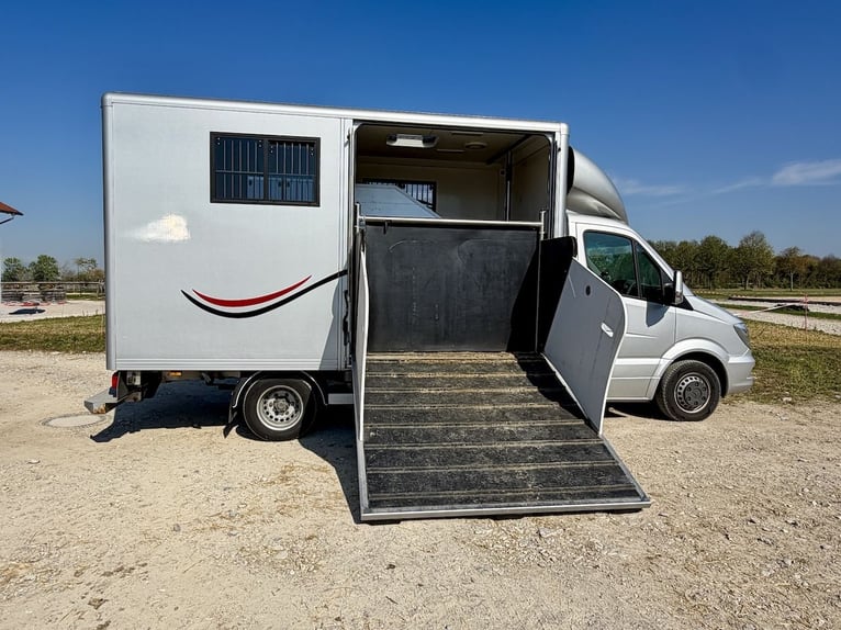 Mercedes-Benz Sprinter 2-Pferdetransporter Sattelkammer LKW