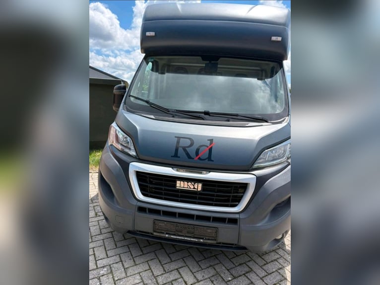 MSG Stablehopper Basis Peugeot Boxer