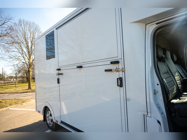 NEUER RENAULT MASTER (0000)