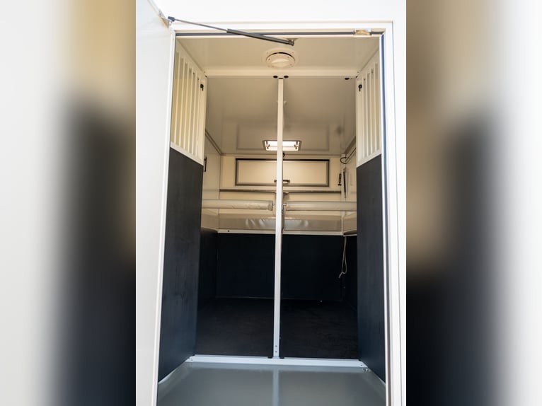 NEUER RENAULT MASTER (0000)