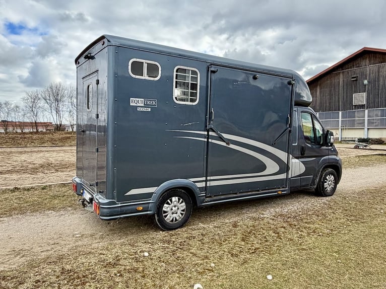 Peugeot Boxer Equitrek Sonic 2-Pferdetransporter LKW - Gebrauchtfahrzeug im Kundenauftrag