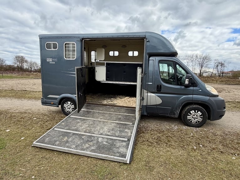 Peugeot Boxer Equitrek Sonic 2-Pferdetransporter LKW - Gebrauchtfahrzeug im Kundenauftrag