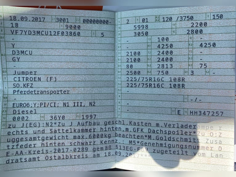 Pferdetranporter