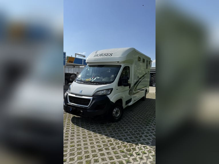 Pferdetransporter 3,5 T