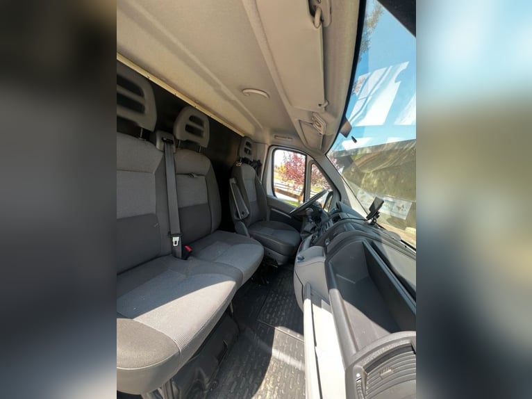 Pferdetransporter 3,5 t Peugeot Boxer nur 116200 km