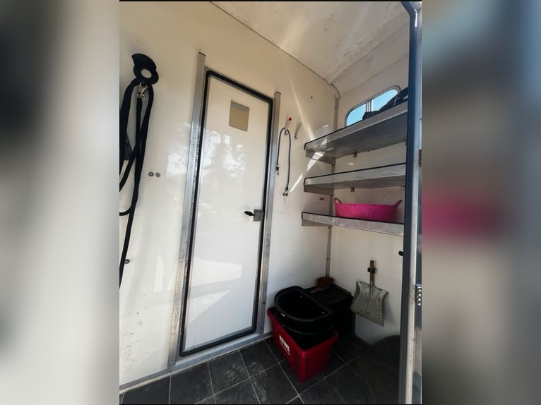 Pferdetransporter 3,5 t Peugeot Boxer nur 116200 km