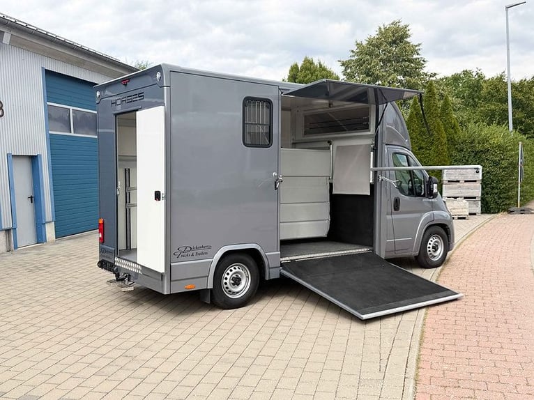 Pferdetransporter Citroen Jumper Automatik 180PS Klima Navi Viehtransporter Horsetruck Horsevan