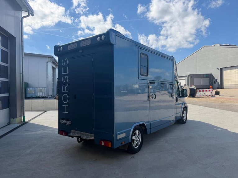 Pferdetransporter Citroen Jumper Nur 68.000KM Klima 163 PS Viehtransporter Selbstfahrer Euro 6 Motor