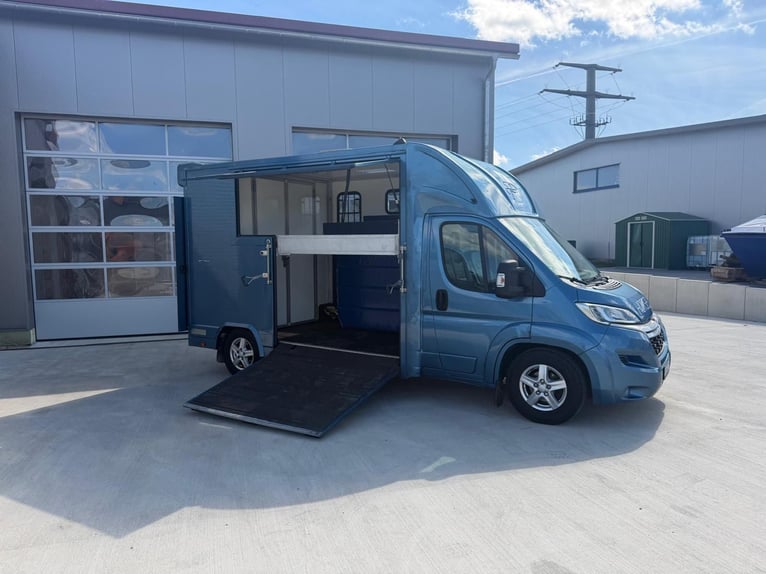 Pferdetransporter Citroen Jumper Nur 68.000KM Klima 163 PS Viehtransporter Selbstfahrer Euro 6 Motor