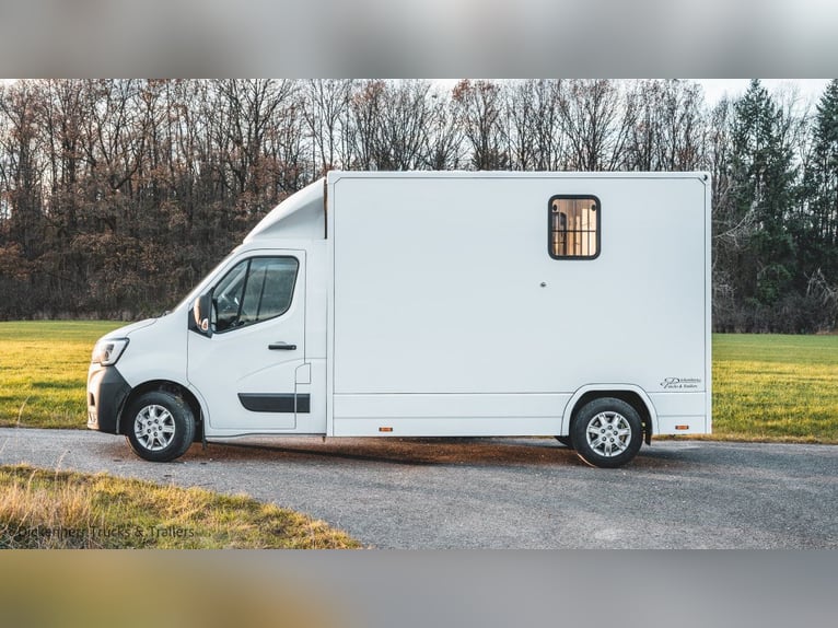 Pferdetransporter-DT 2-Ride Renault Master light 3,5t Neufahrzeug Horsevan Horsetruck B-Führerschein