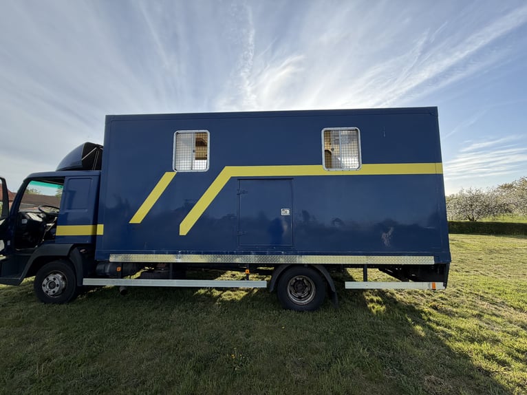 Pferdetransporter MAN bis 7,5t für 4 Pferde