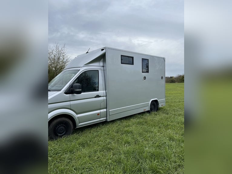Pferdetransporter MAN TGE 3.180 Automatik 3,5t Horsetruck