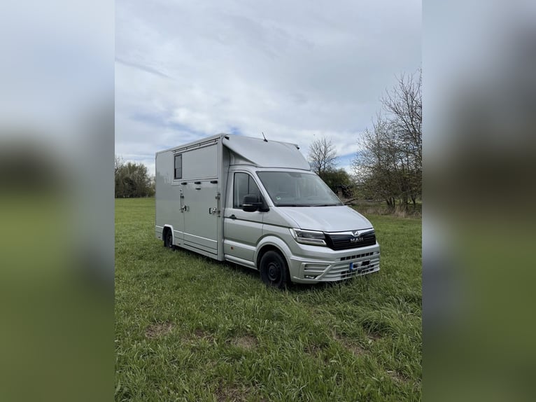 Pferdetransporter MAN TGE 3.180 Automatik 3,5t Horsetruck