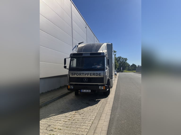 Pferdetransporter Mercedes 817 L