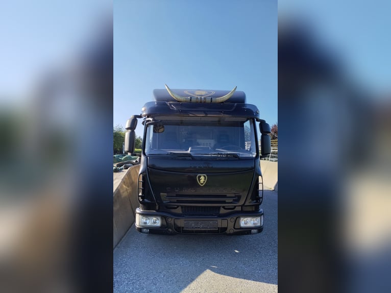 Pferdetransporter mit Wohnbereich