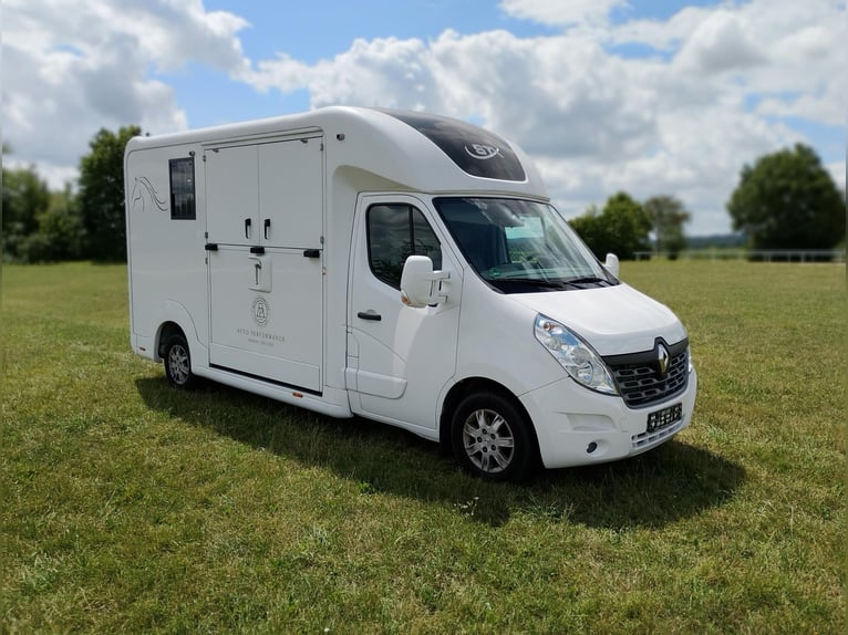 Pferdetransporter Renault Master Automatik Nur 35.300KM 170 PS Viehtransporter Selbstfahrer